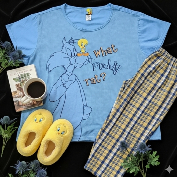 Warner Bros. Other - Sleepwear Top